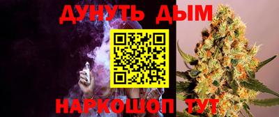 гашик Славгород