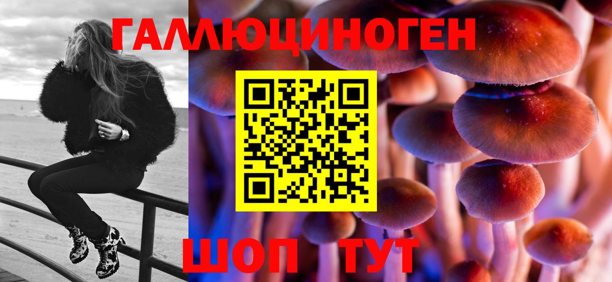 Нальчик  Псилоцибиновые грибы Psilocybine cubensis  Вход с VPN 